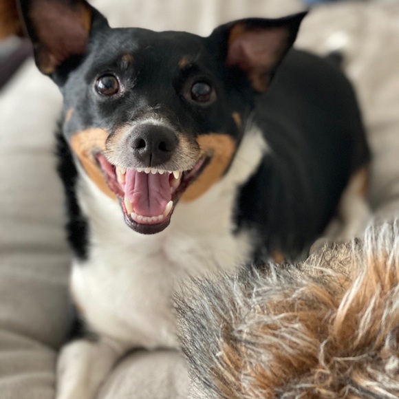 Meet your Posher, Pamela - Picture 11 of 16